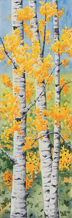 Aspen Colors
