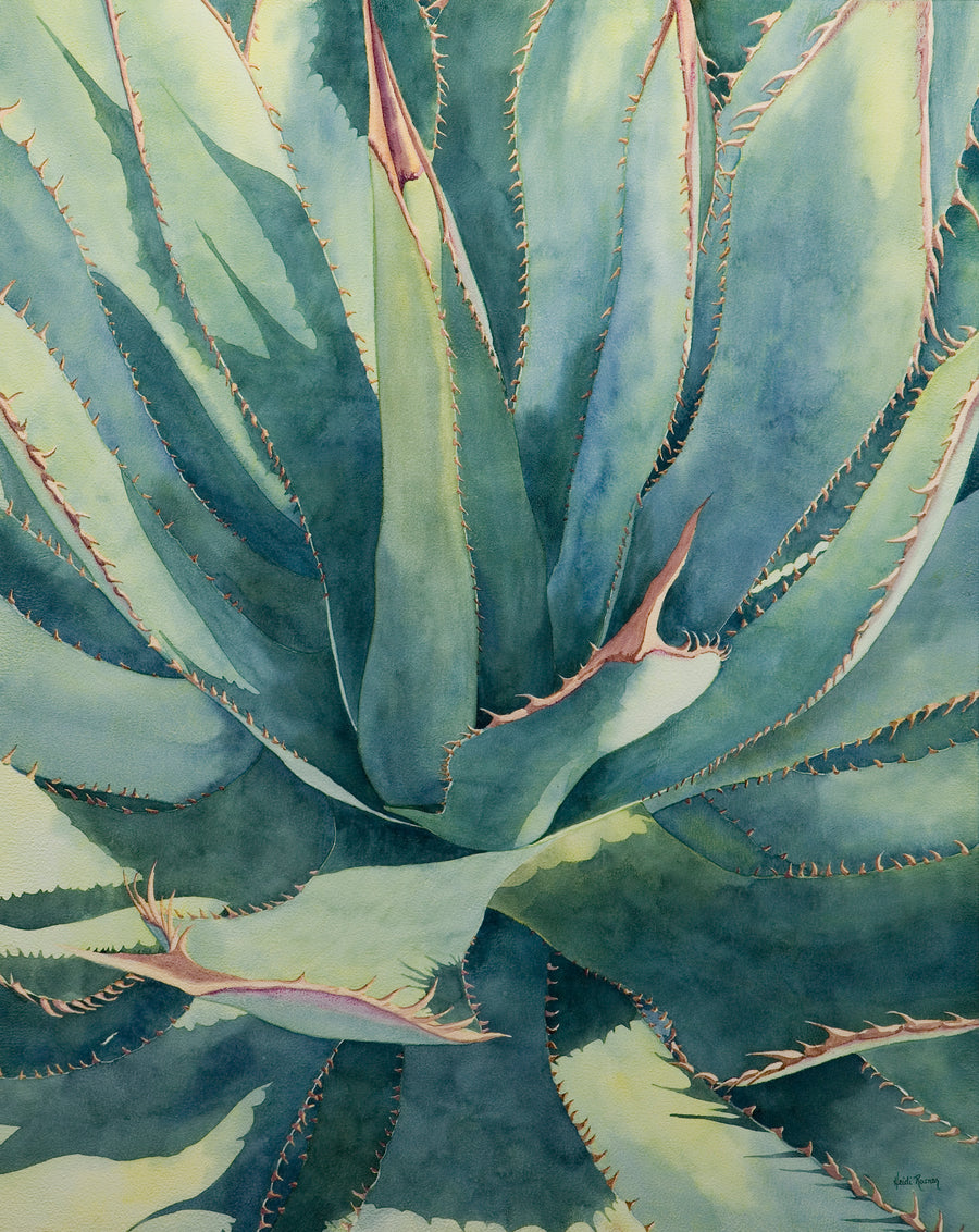 Blue Agave