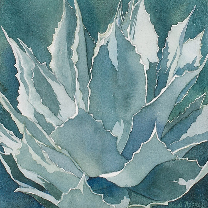 Blue Agave II