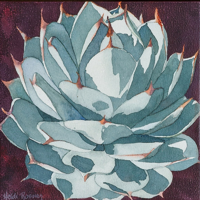 Blue Agave I