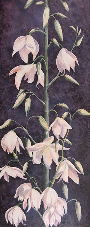 Desert Bells watercolor painting by Heidi Rosner features a blooming yucca flower