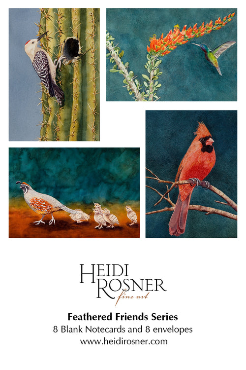 Feathered Friends notecards