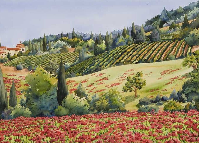 Fields of Poppies, Umbria