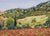 Fields of Poppies, Umbria