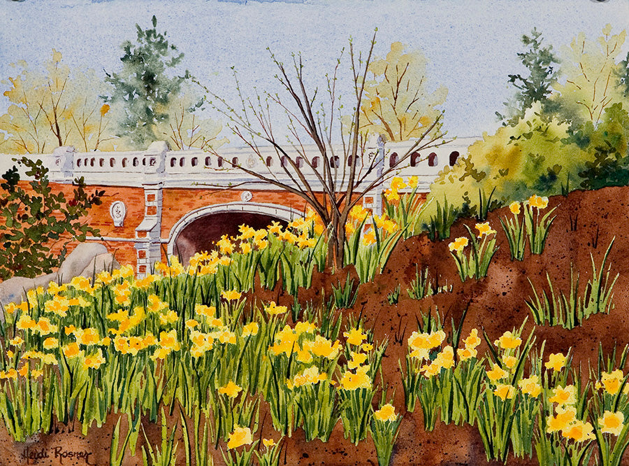 First Signs of Spring, Central Park