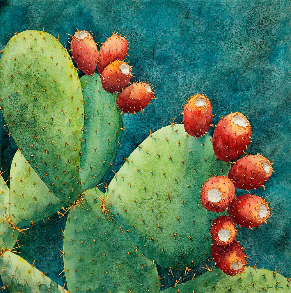 prickly pear cactus painting Fruit of the Opuntia | Prickly Pear giclee