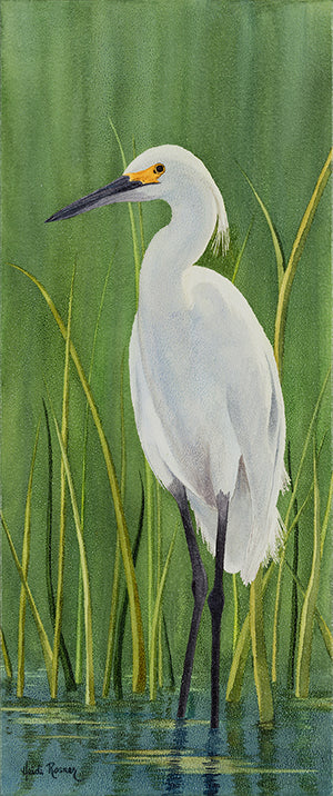Great Egret - Great Egret Watercolor Painting - Heidi Rosner Fine Art
