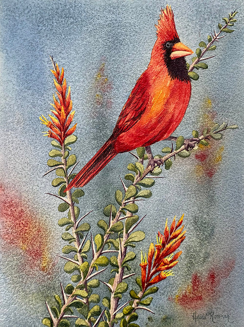 The watercolor painting Birds of a Feather. The painting features a red cardinal on a blooming ocotillo. 