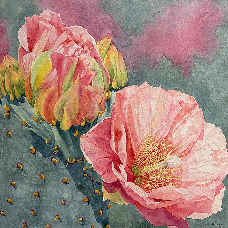 The watercolor painting Desert Blush. The painting features a prickly pear with a big pink flower