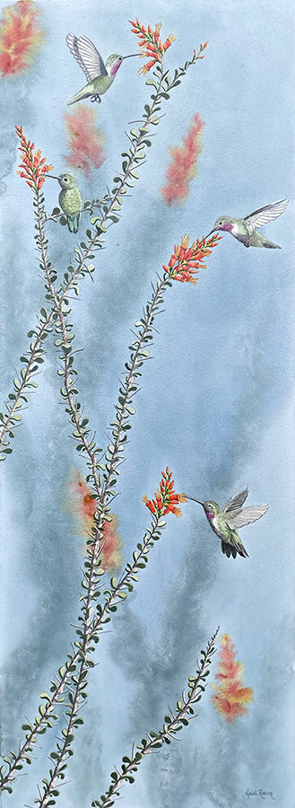 Hummer Happy Hour is a watercolor painting by Heidi Rosner that features an ocotillo plant in bloom with several hummingbirds drinking from the flowers