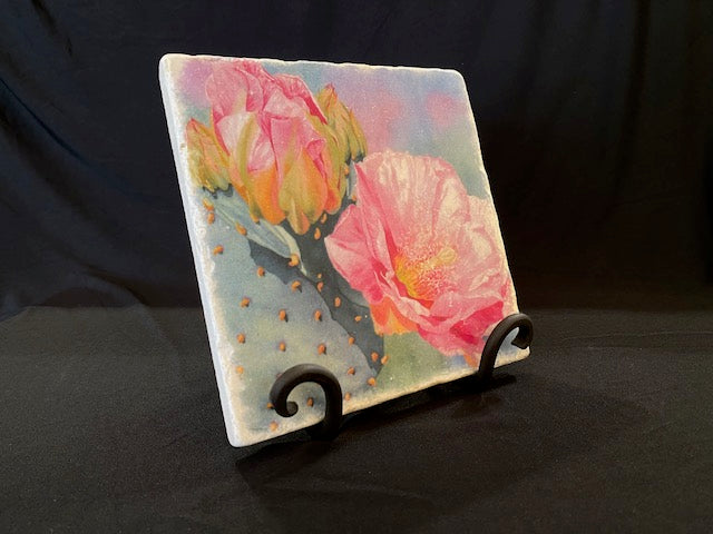 Sidekick trivet on an iron stand