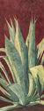 Lady in Red is a watercolor painting by Heidi Rosner that fetures an agave plant against a deep red background