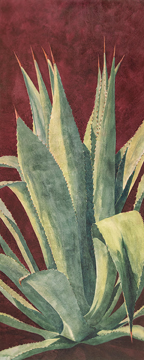 Lady in Red is a watercolor painting by Heidi Rosner that fetures an agave plant against a deep red background