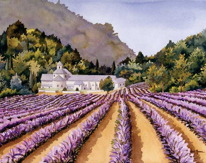 Lavande dans Senanque