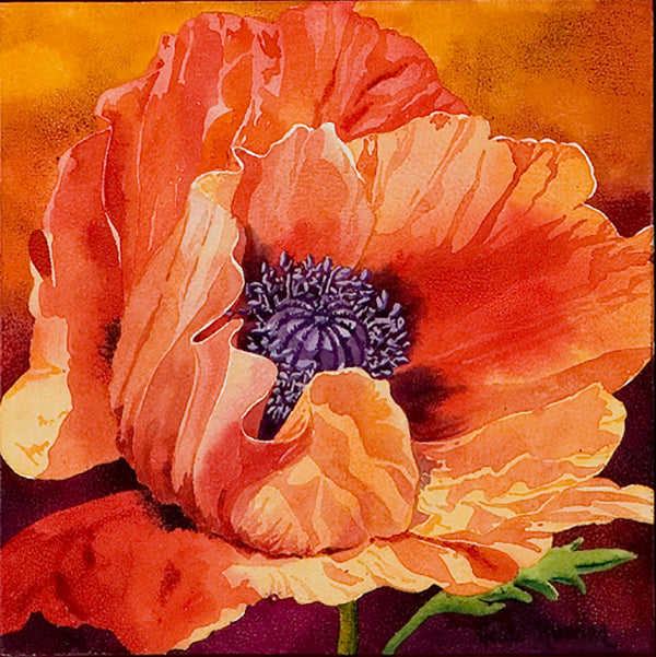 Oriental Poppy