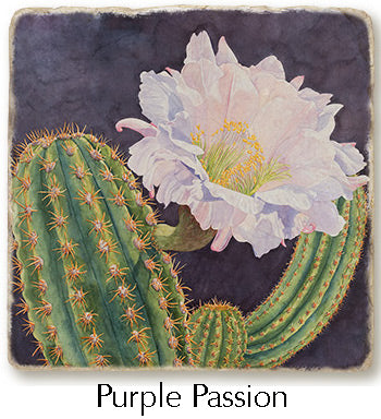 Close up of Purple Passion coaster