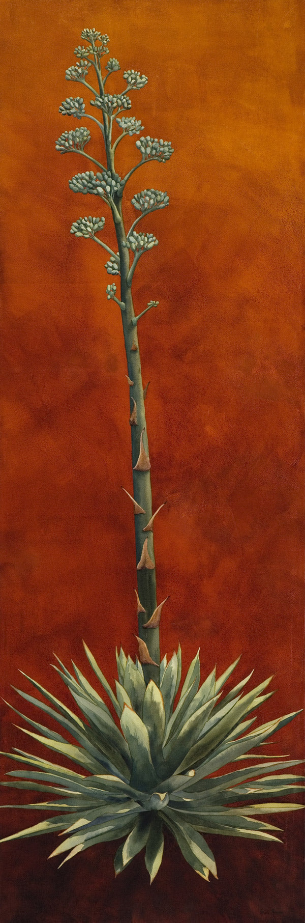 Reaching for the Stars