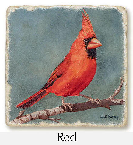 Close up of Red coaster