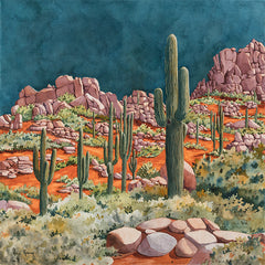Rock-Star-Sonoran-Desert-