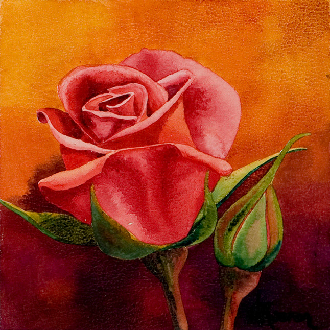 Rosebud - Heidi Rosner Fine Art