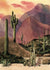 Saguaro Sunset IV