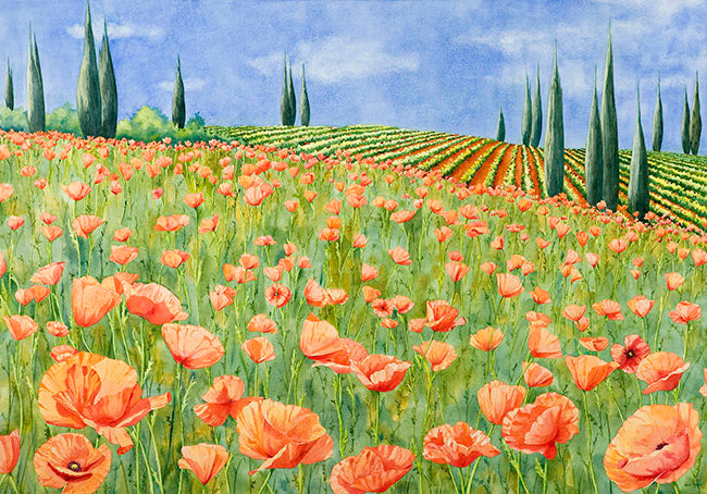 Springtime Poppies