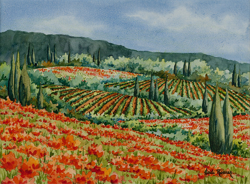 Springtime Poppies (study) (framed)