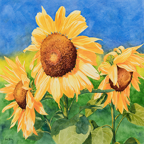 Sunshine On My Shoulders