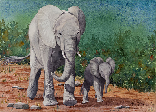 The Matriarch and Her Calf