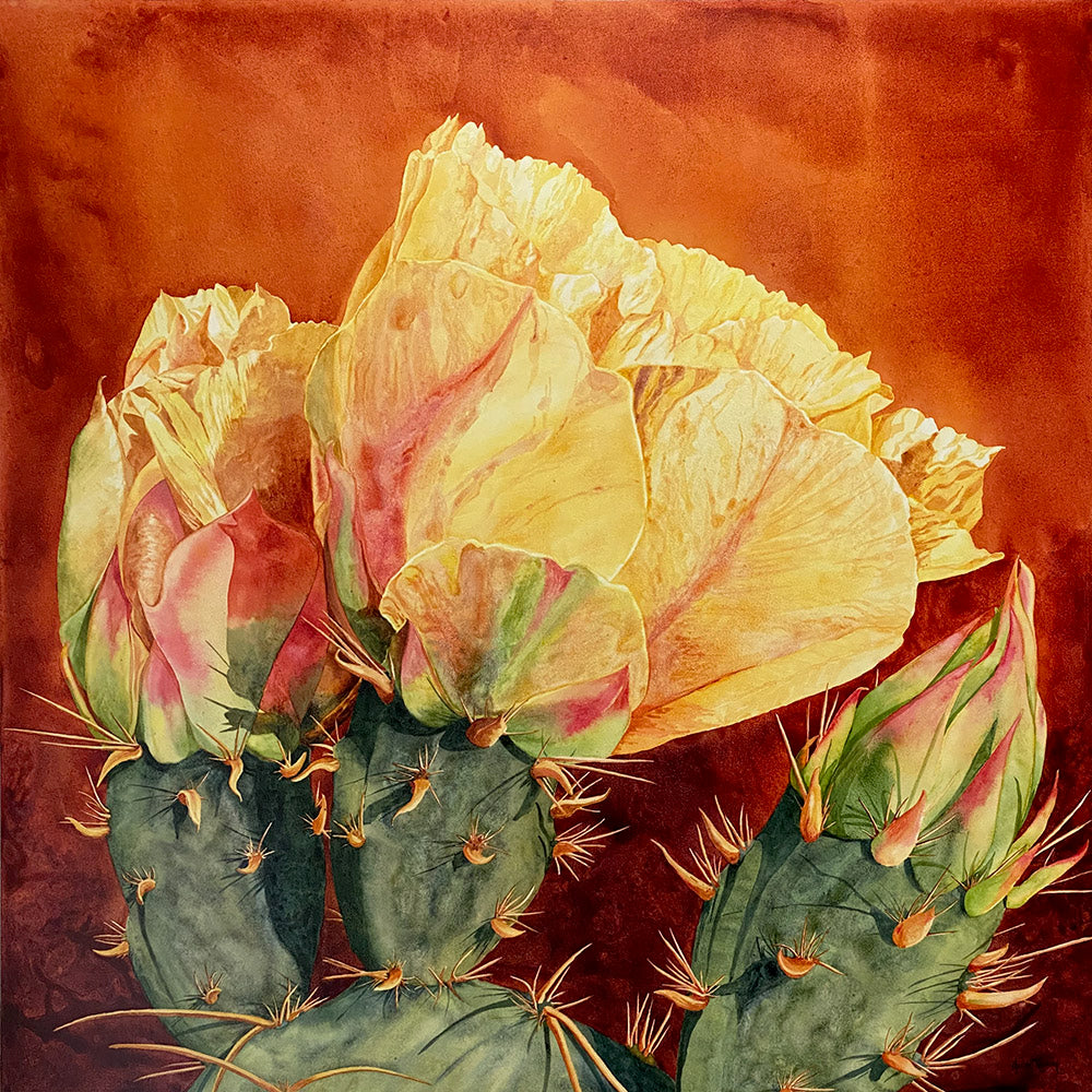 The Triple Threat watercolor painting featuring three prickly pear flower buds, with one blooming in yellow