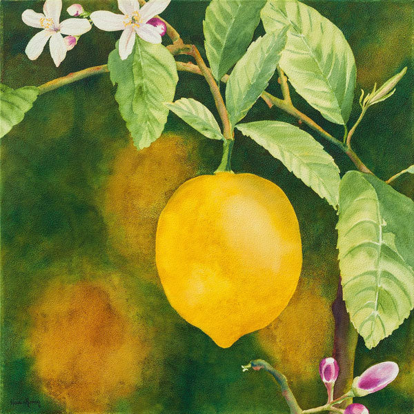 When Life Gives You Lemons