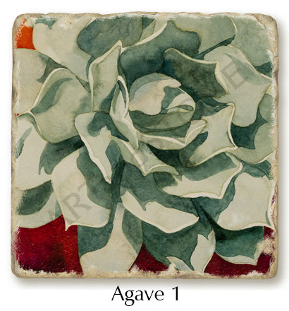 Close up of Agave 1 coaster