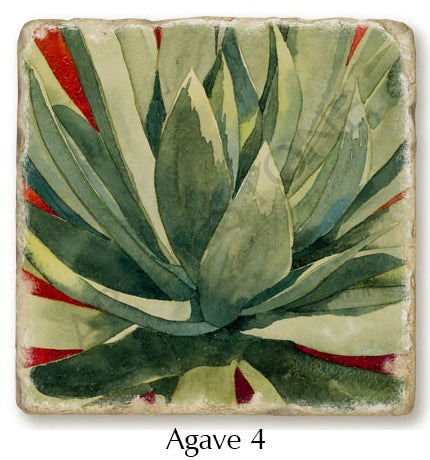 Close up of Agave 4 coaster