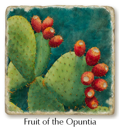 A closeup of the Fruit of the Opuntia trivet