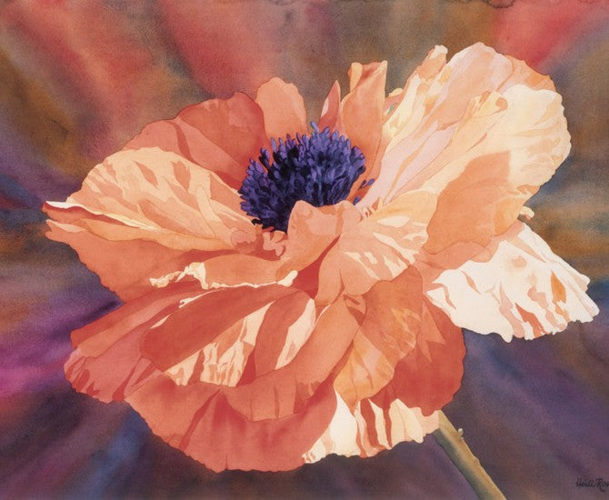 poppy flowers watercolor painting