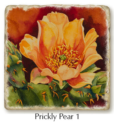 Close up of Prickly Pear 1 coaster