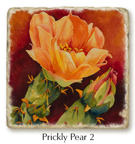 Close up of Prickly Pear 2 coaster