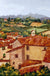 Rooftops of Todi